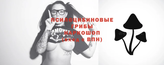синтетический гашиш Абинск