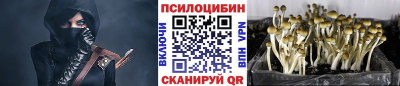 где купить наркотик  Якутск  Галлюциногенные грибы GOLDEN TEACHER 